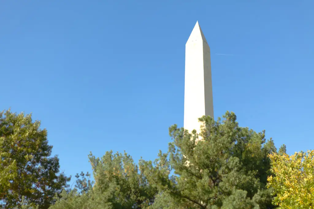 The Washington Monument peeking over some trees.